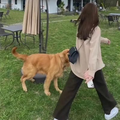 侣行第三季