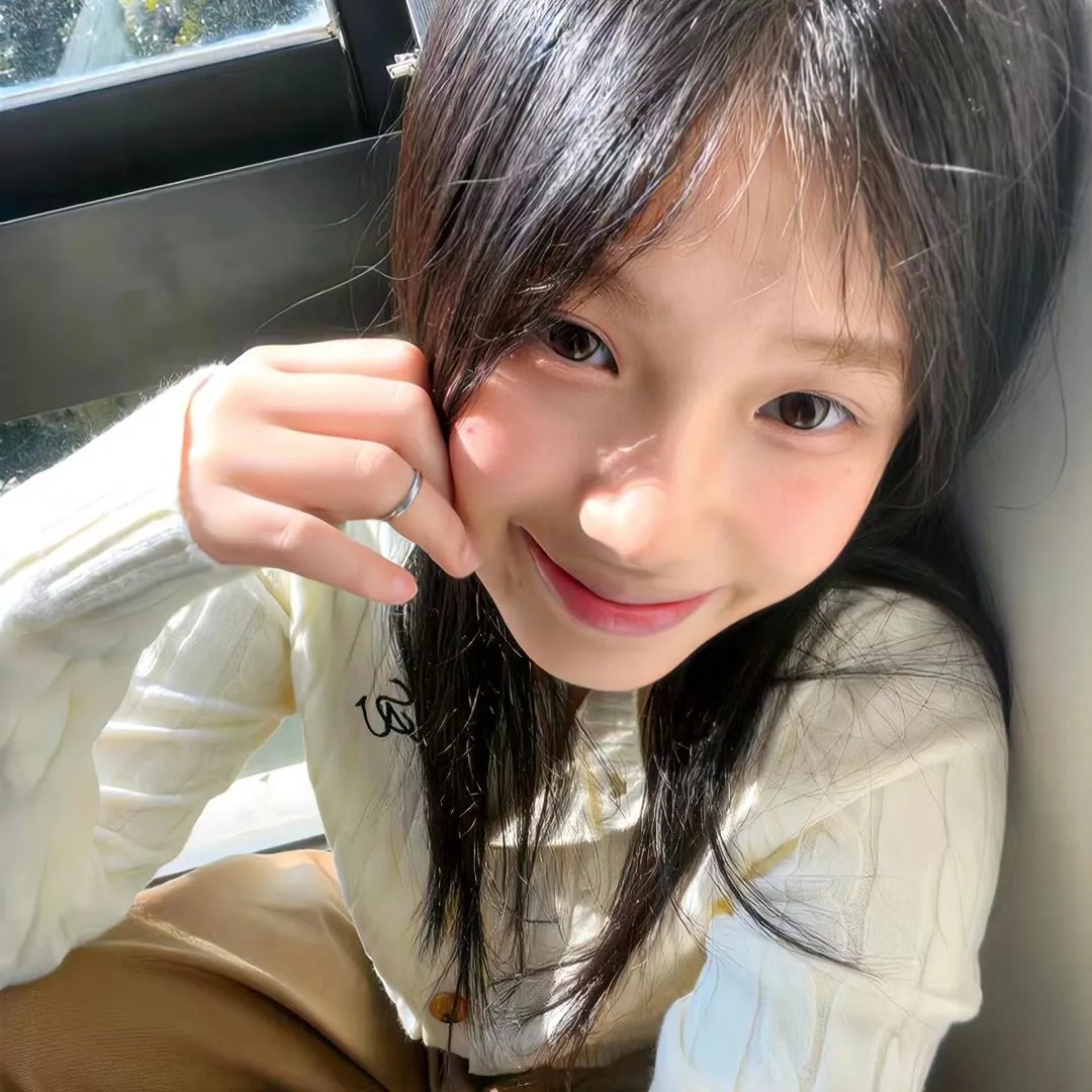 安妮回忆录